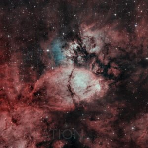 The Fish Head Nebula