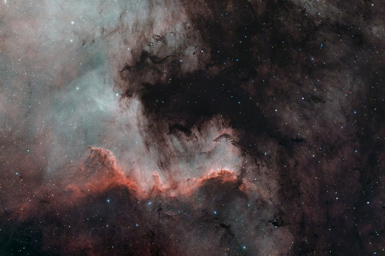 Cygnus Wall and Surroundings